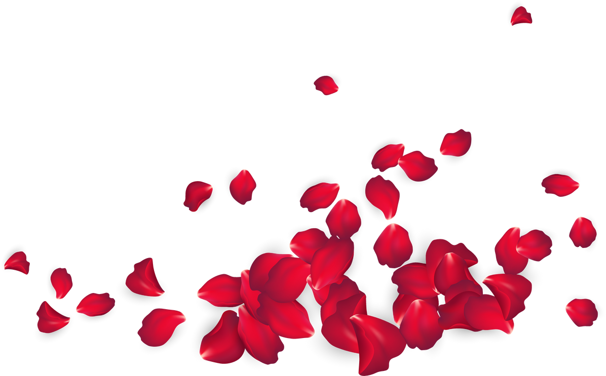 Rose Petals Design Element